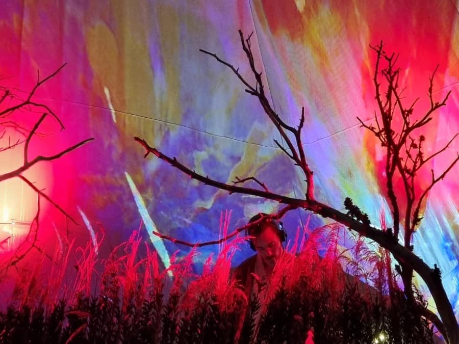 A figure silhouetted in tall grass behind bare branches in a haze of rainbow light