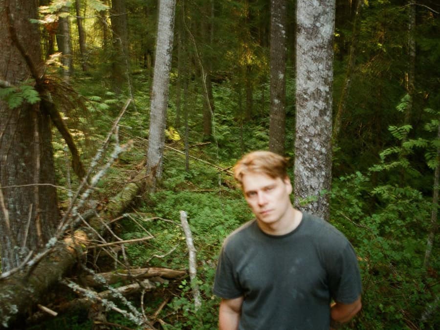 Havina standing in a green forest