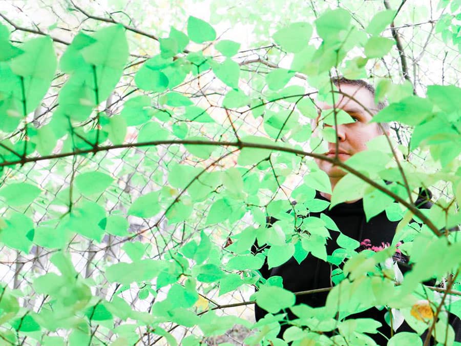 drS partly hidden behind bright green leaves