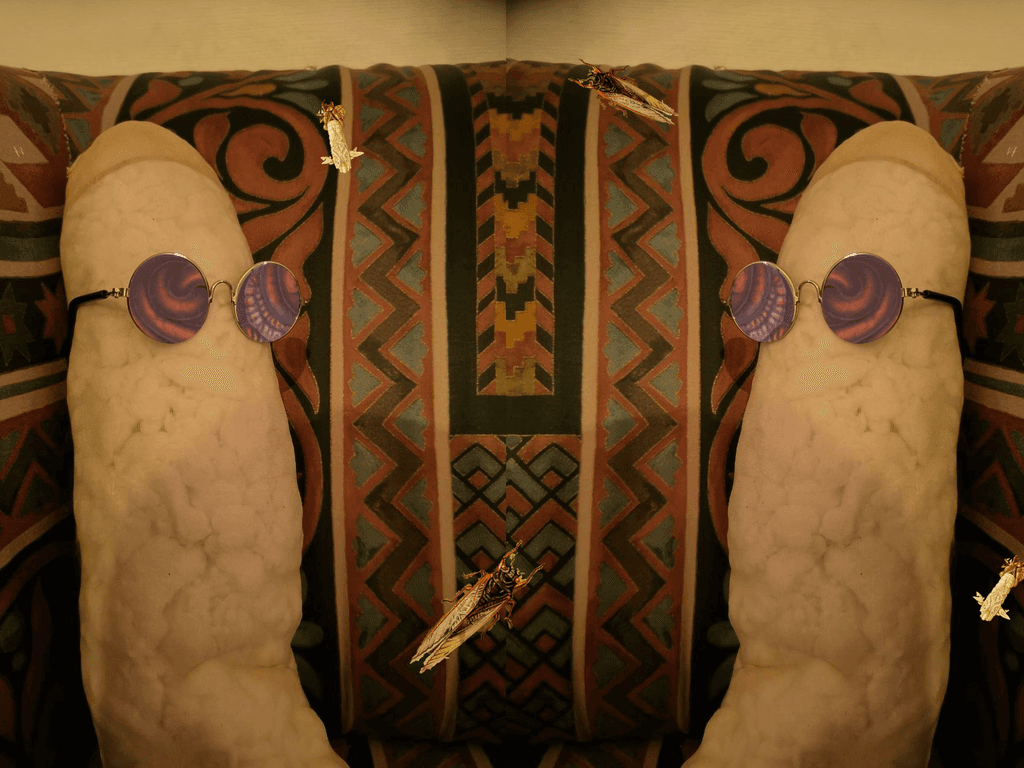Surreal mirrored image of two worm-like figures wearing round spiral sunglasses on a patterned rug